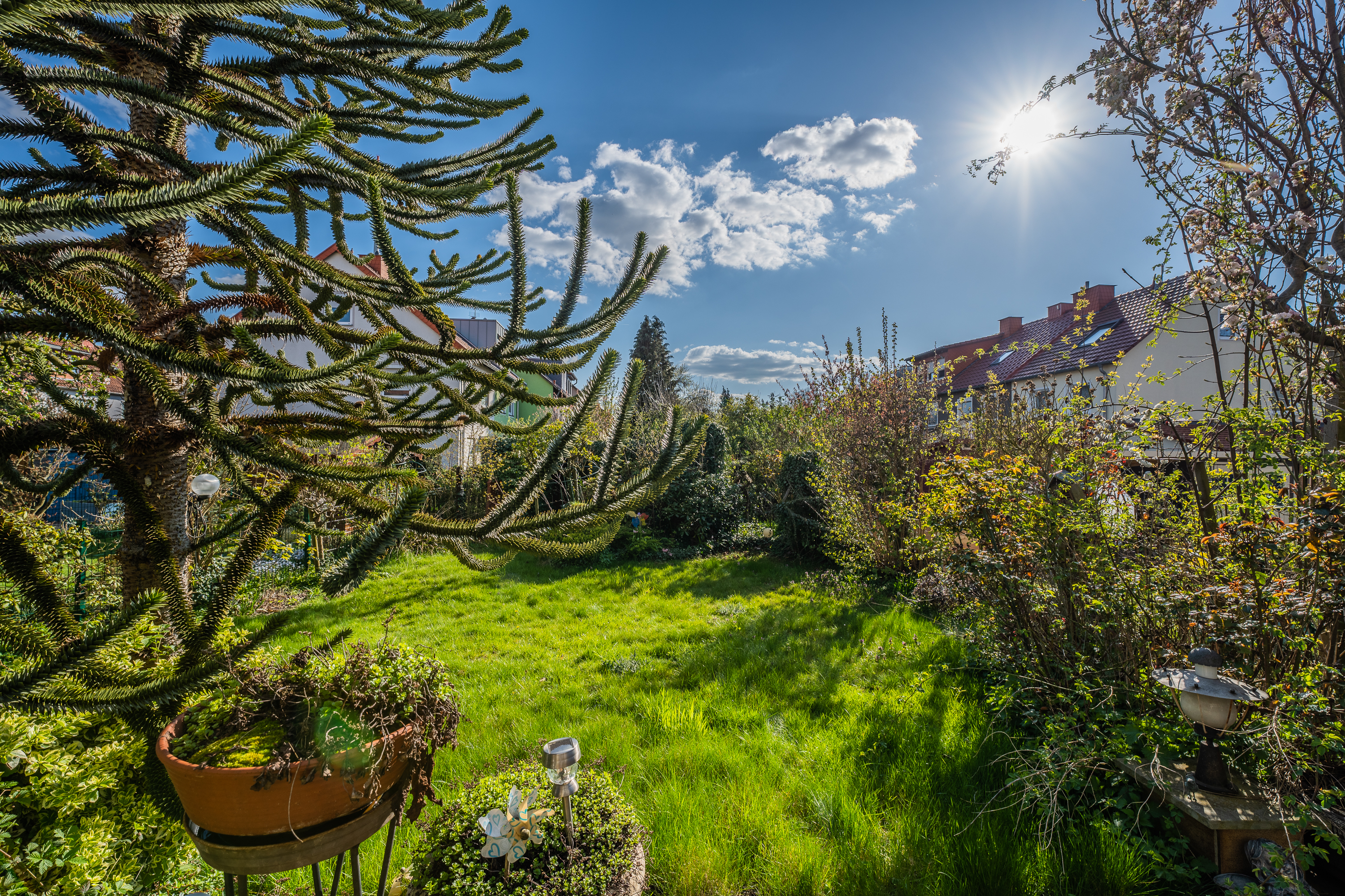Grüner Garten mit Bäumen und Sträuchern, sonniges Wetter, Nachbarhäuser im Hintergrund.