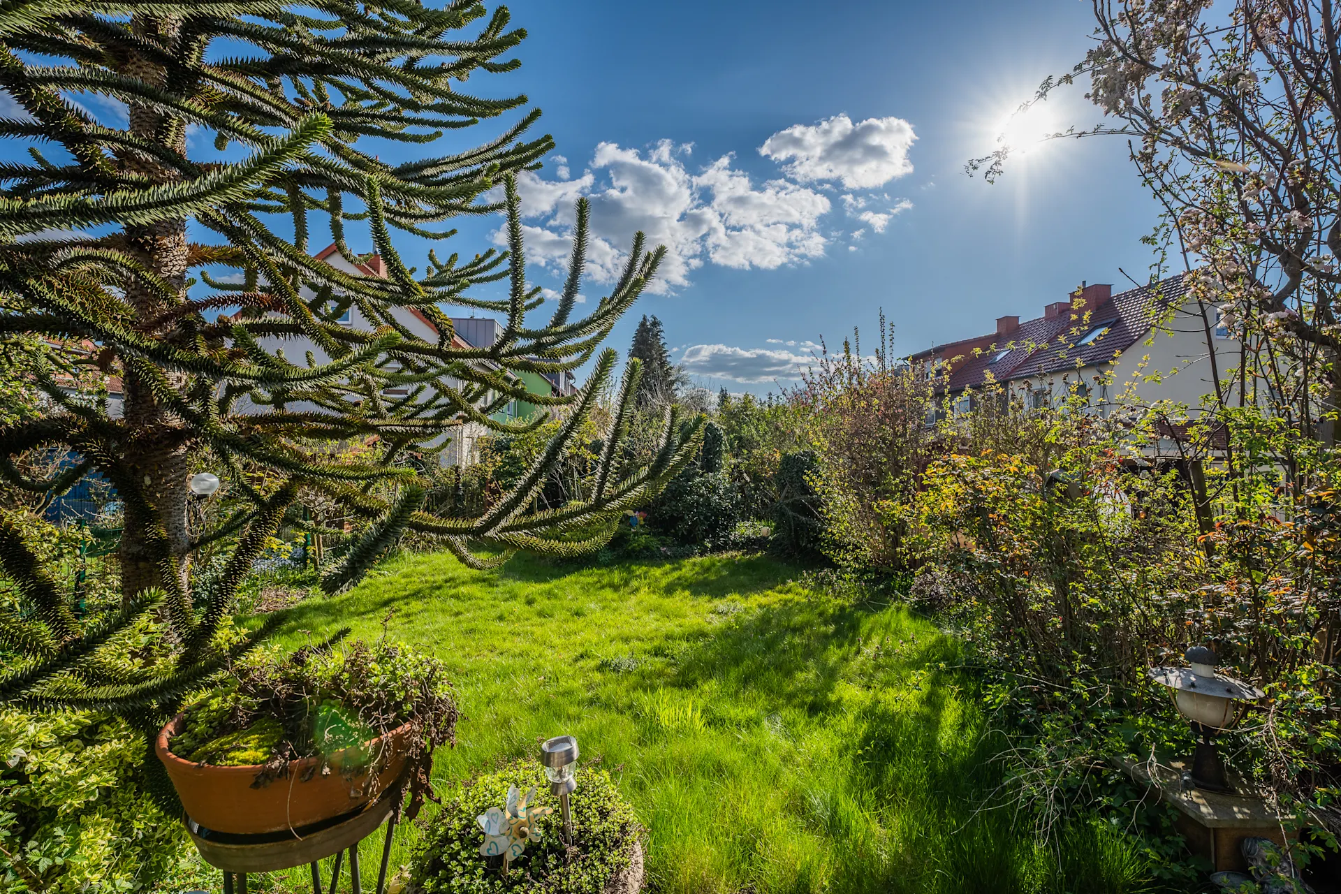 Grüner Garten mit Bäumen und Sträuchern, sonniges Wetter, Nachbarhäuser im Hintergrund.