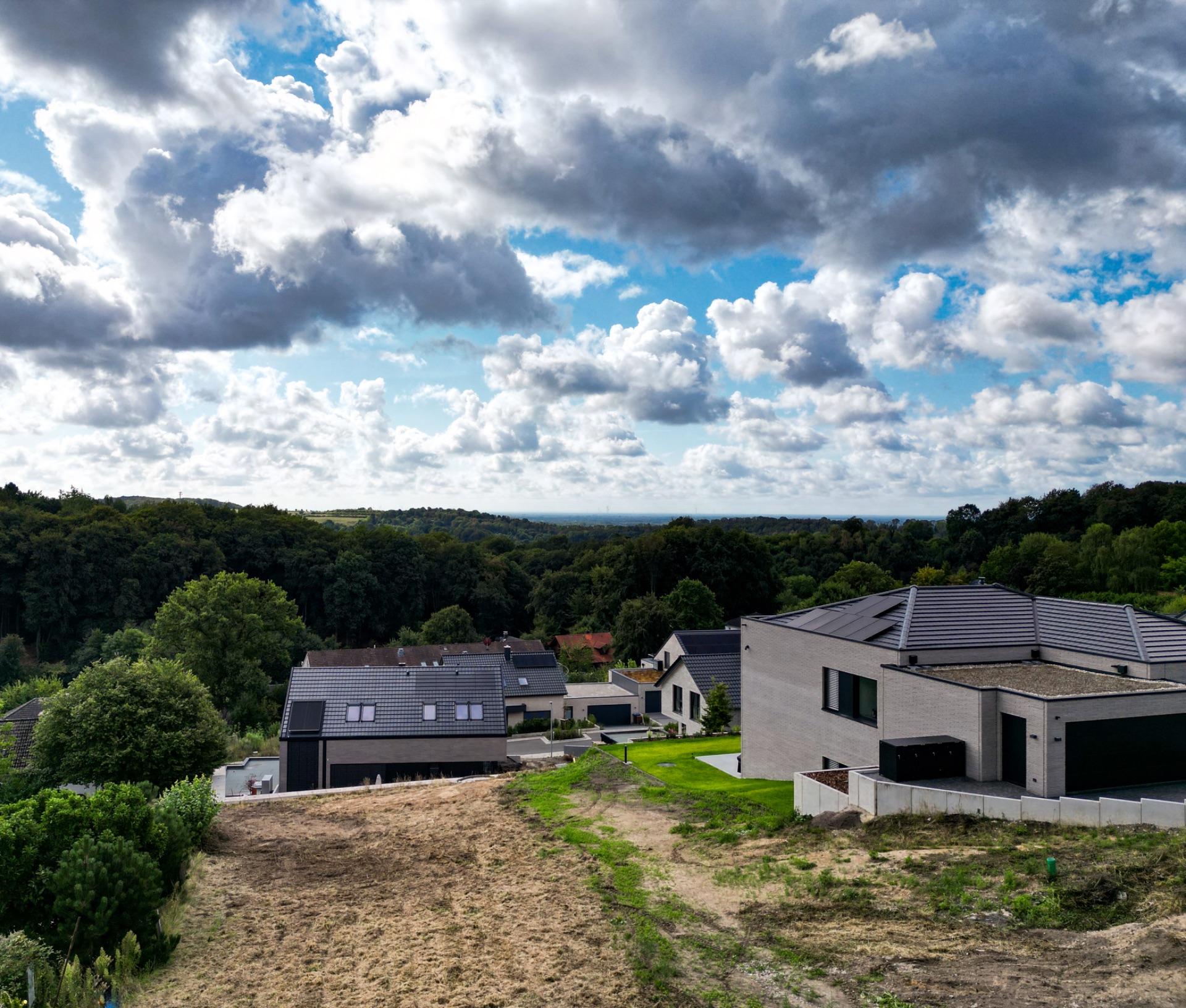 Moderne Wohnhäuser mit Gärten am Waldrand unter bewölktem Himmel.