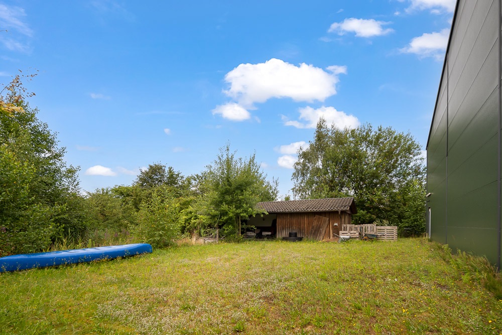 Garten mit Rasenfläche, kleiner Holzschuppen und einigen Bäumen, blauer Gegenstand links im Bild.