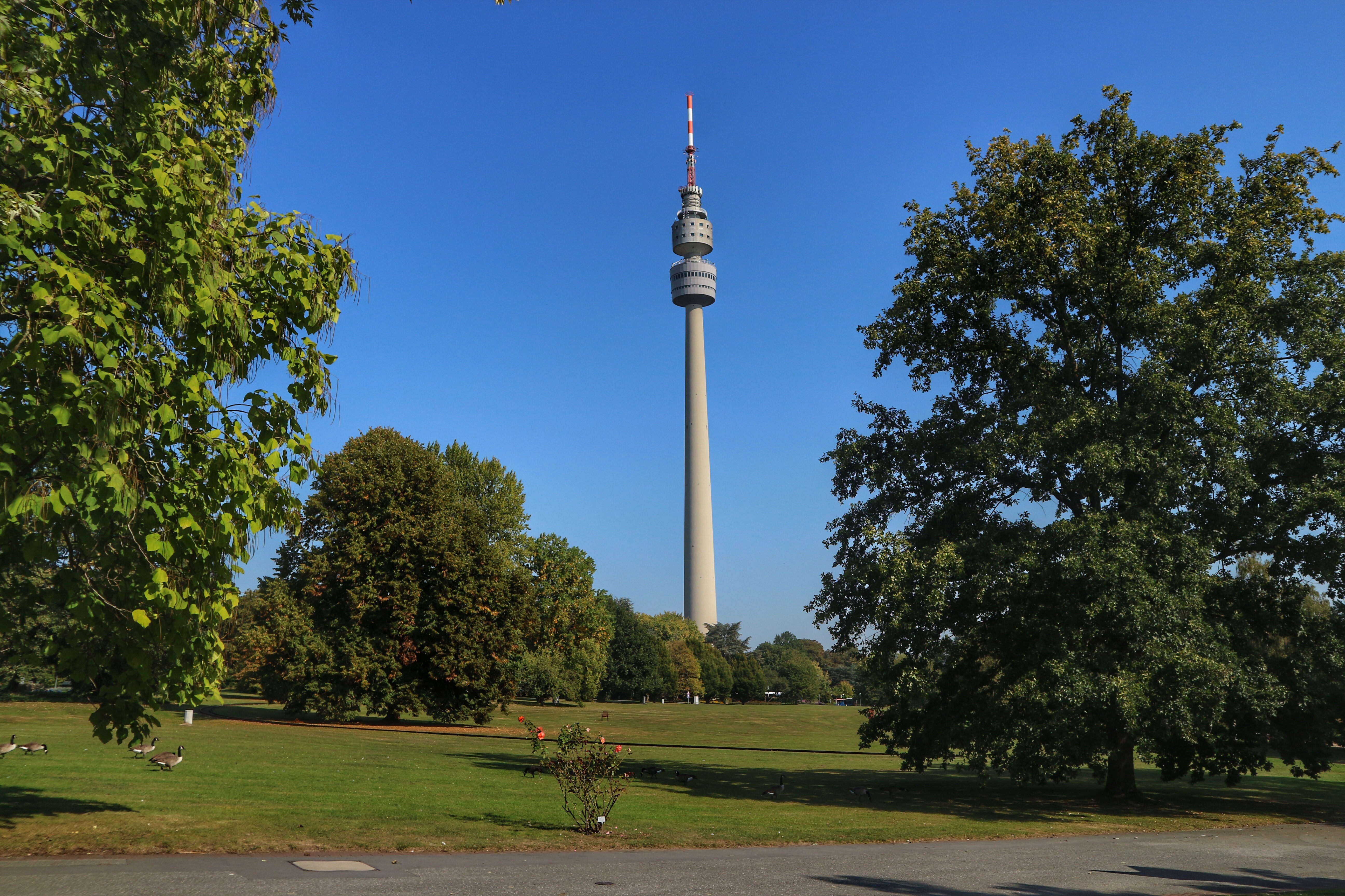 Großer Fernsehturm steht inmitten einer grünen Parklandschaft mit Bäumen und Rasen.