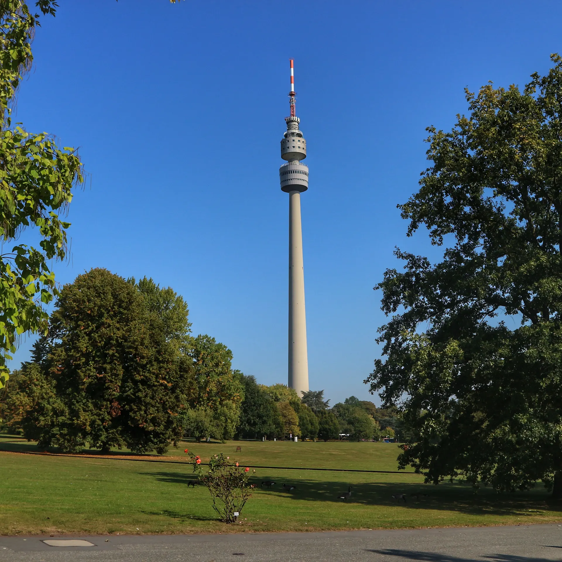 Großer Fernsehturm steht inmitten einer grünen Parklandschaft mit Bäumen und Rasen.