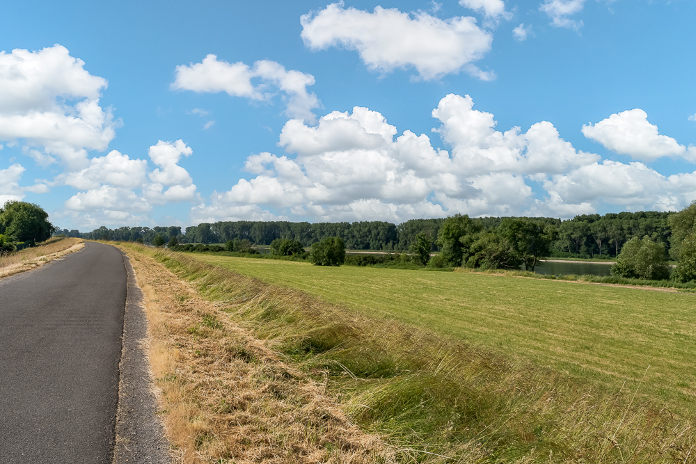 Asphaltstraße führt an gemähter Wiese vorbei, mit Bäumen und Fluss im Hintergrund unter blauem Himmel.