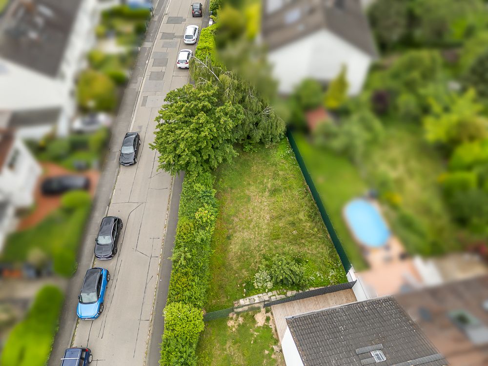 Luftaufnahme eines rechteckigen Gartens neben einer Straße mit mehreren geparkten Autos.