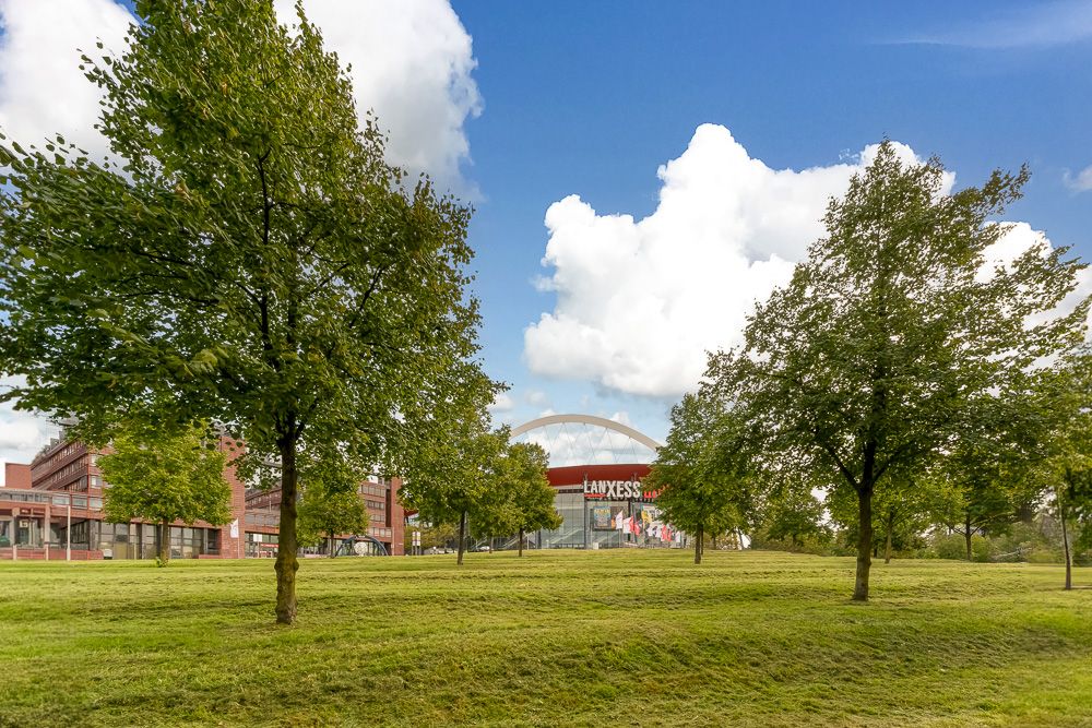 Grüne Wiese mit mehreren Bäumen, im Hintergrund sind Gebäude und ein Glasbau zu sehen.