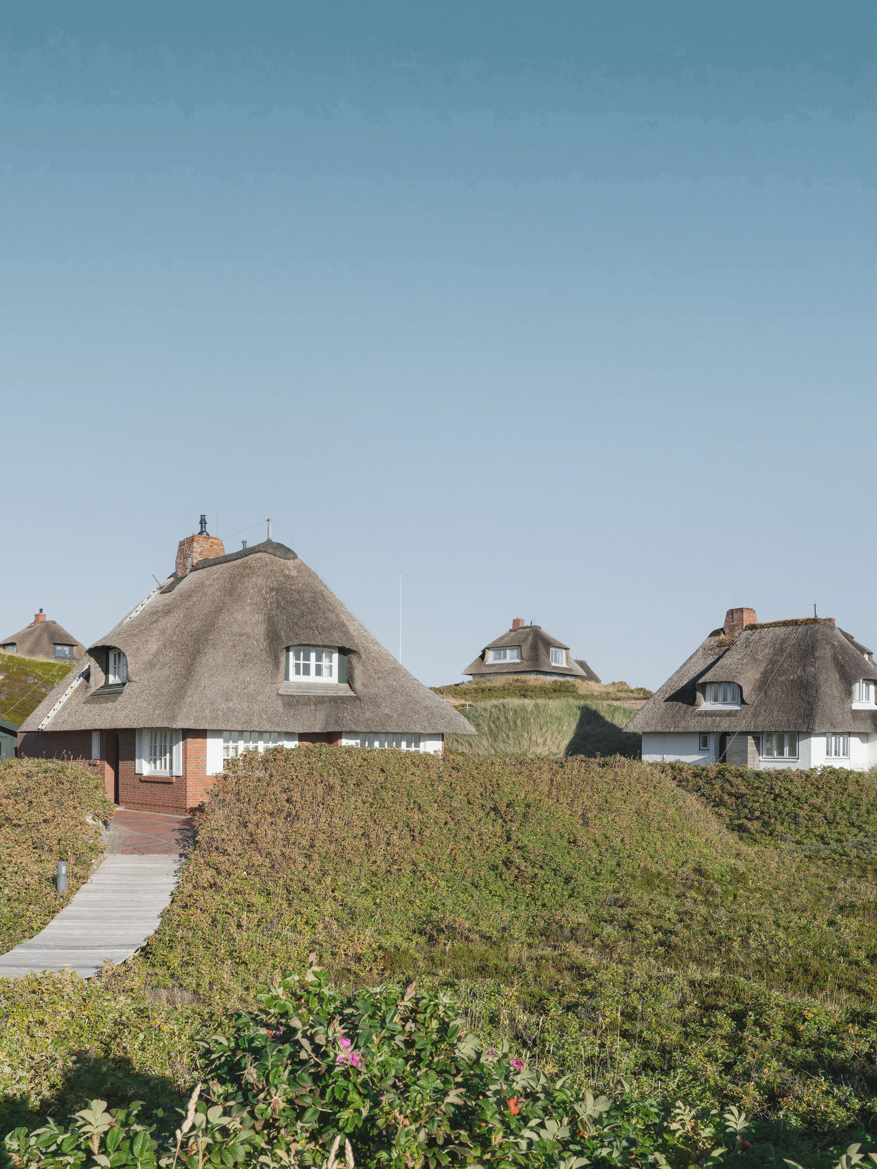 Mehrere reetgedeckte Häuser stehen in einer grünen Dünenlandschaft unter klarem Himmel.