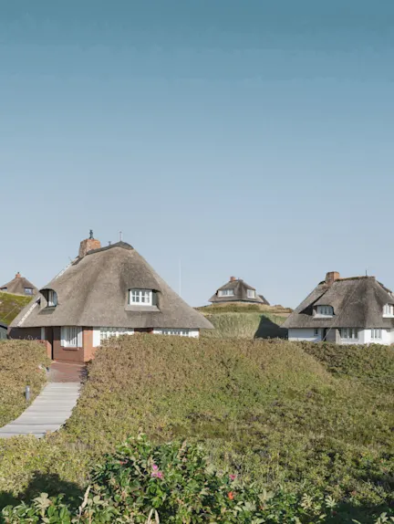 Mehrere reetgedeckte Häuser stehen in einer grünen Dünenlandschaft unter klarem Himmel.
