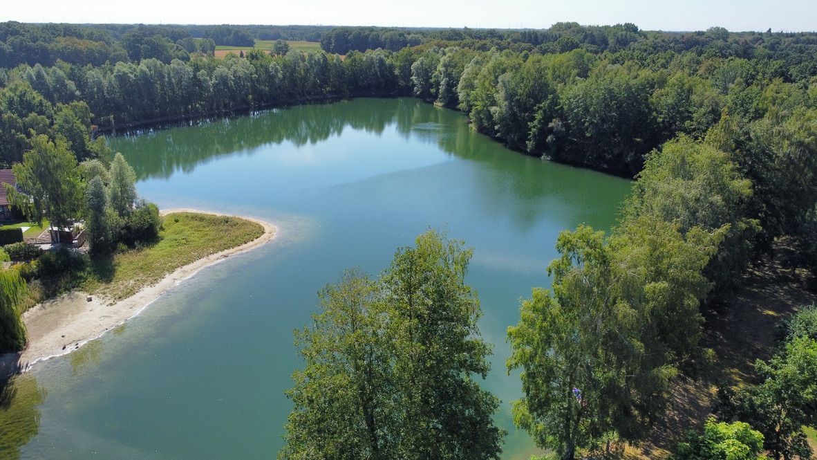 Blick auf einen See mit sandigem Ufer, umgeben von Bäumen und Wald.