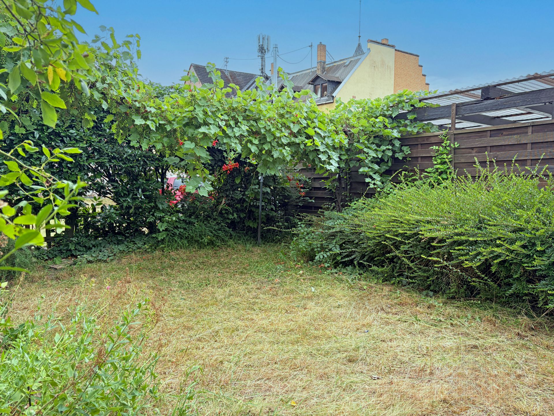Kleiner Garten mit Rasenfläche, Sträuchern und einer Holzabtrennung im Hintergrund.