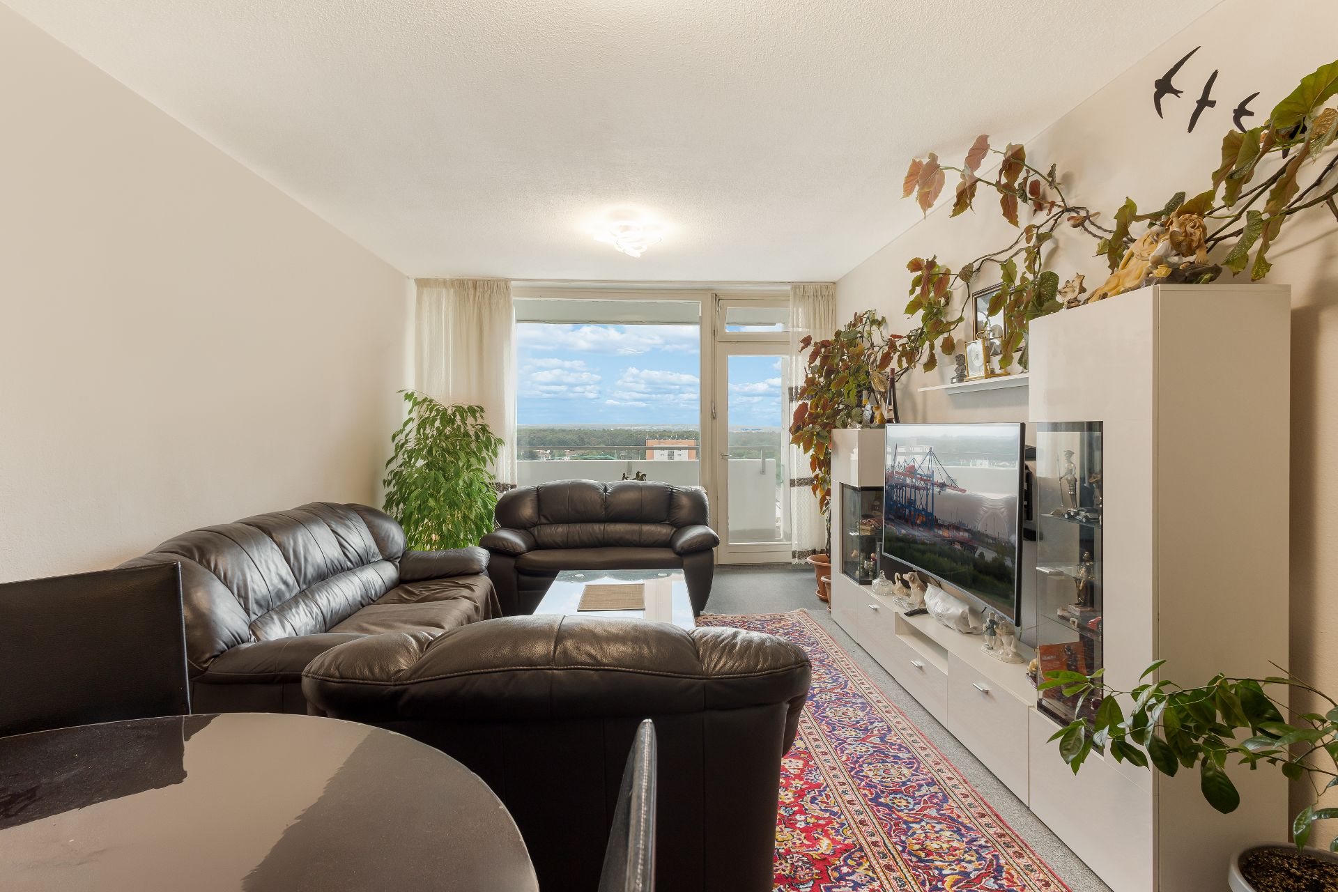 Helles Wohnzimmer mit schwarzen Ledersofas, TV, Teppich, Pflanzen und Balkon mit Ausblick.
