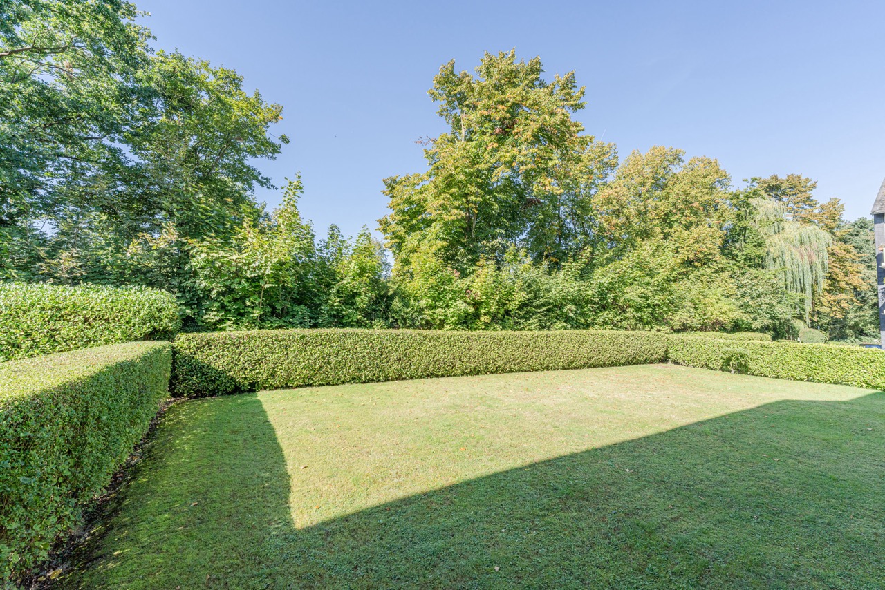 Grüne Rasenfläche mit niedriger Hecke und Bäumen im Hintergrund bei Sonnenschein.