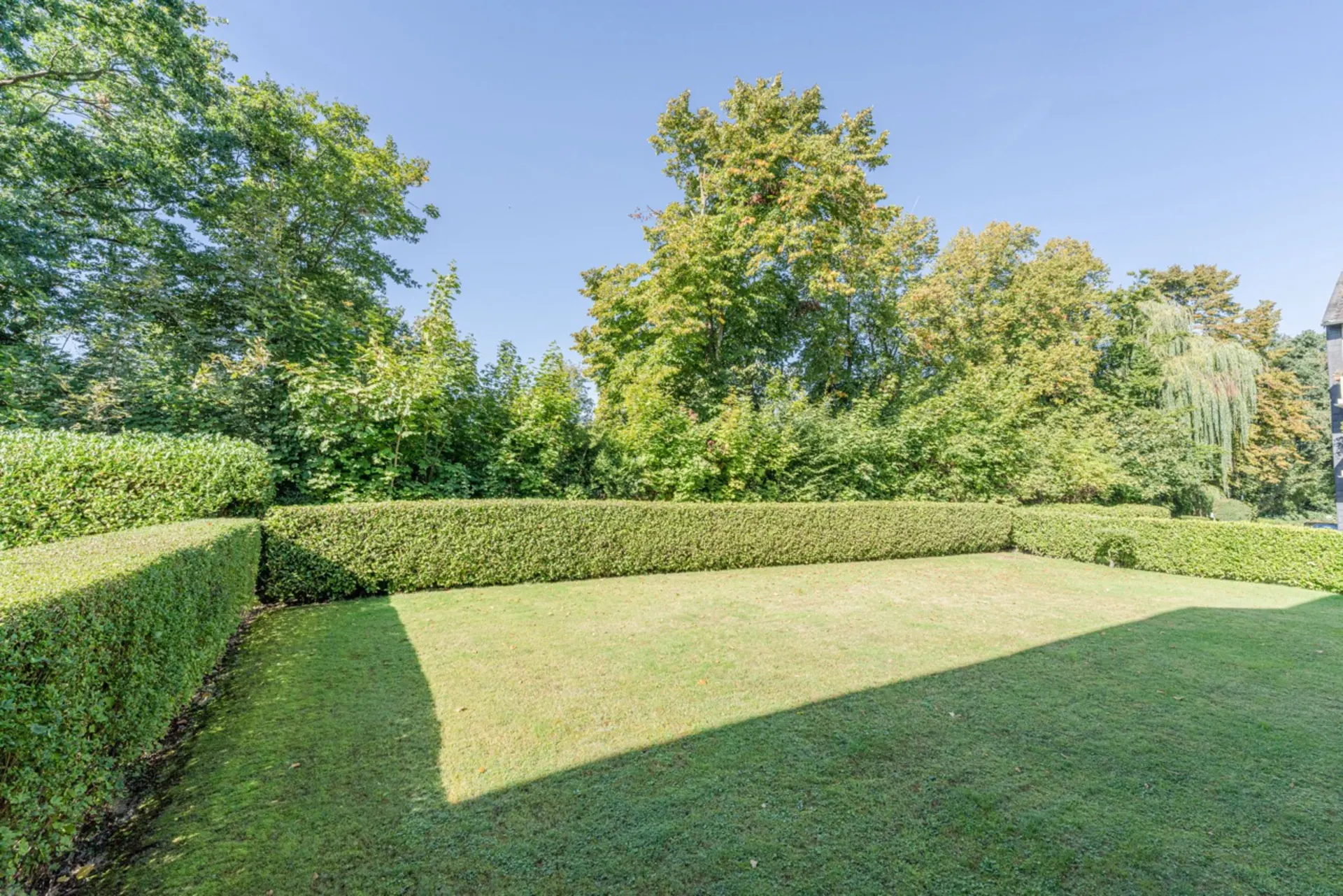 Grüne Rasenfläche mit niedriger Hecke und Bäumen im Hintergrund bei Sonnenschein.