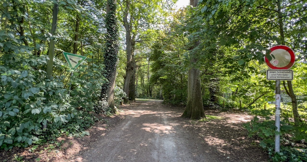 Waldweg mit Bäumen, Verkehrsschildern und grünem Naturschutzgebietsschild.