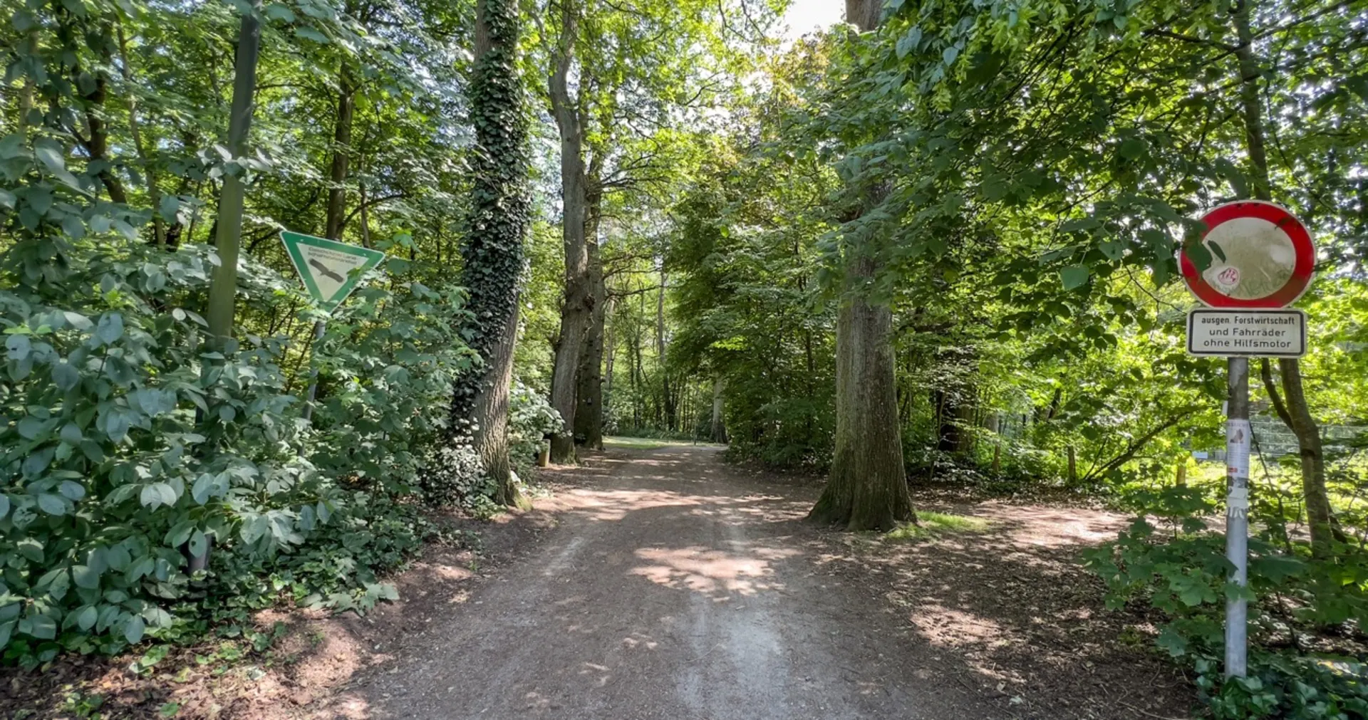 Waldweg mit Bäumen, Verkehrsschildern und grünem Naturschutzgebietsschild.