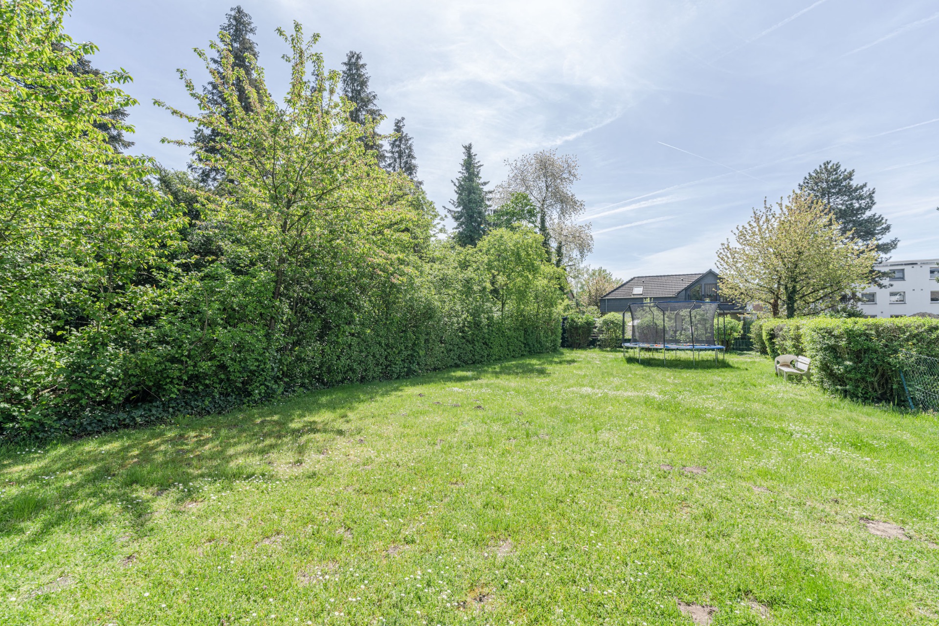 Grüner Garten mit Rasen, Bäumen, Trampolin und einer Bank am Rand.