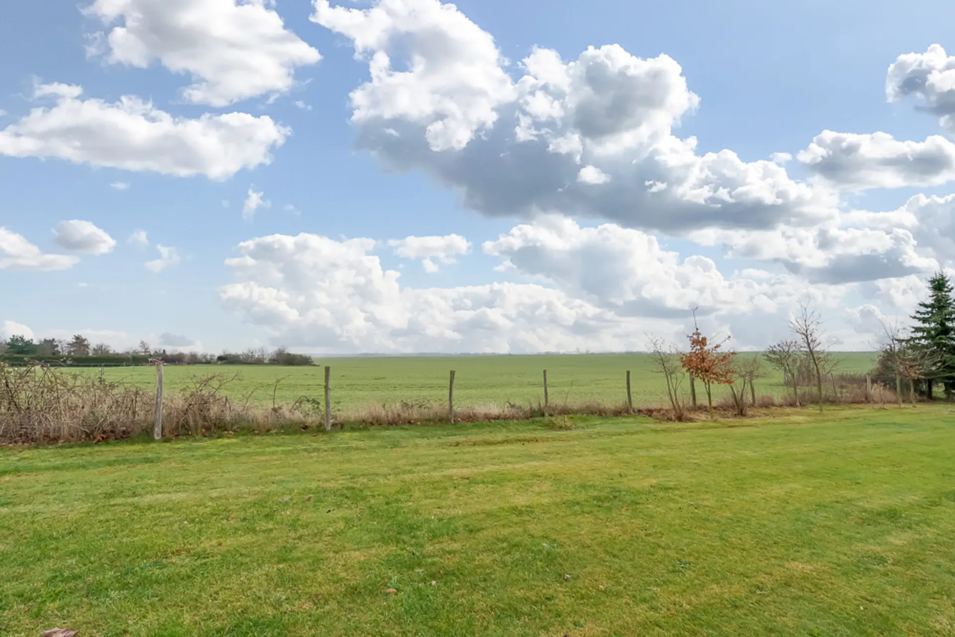 Großer grüner Garten mit Zaun, Blick auf ein weitläufiges Feld und wolkigen Himmel.
