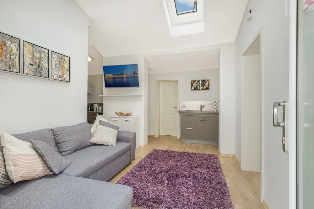Helles Wohnzimmer mit grauem Sofa, lila Teppich, kleiner Küchenzeile und Dachfenster.