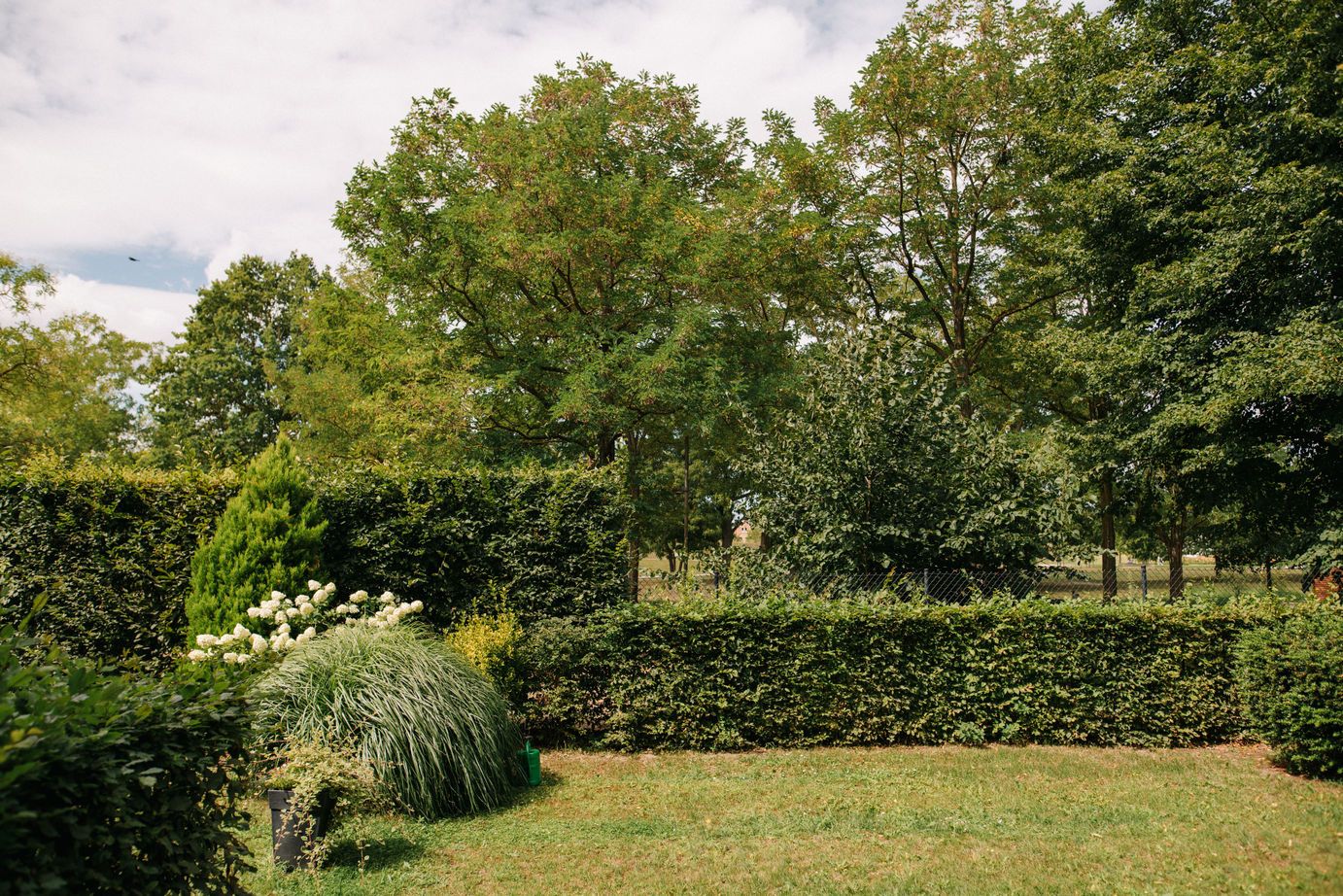 Garten mit grünem Rasen, Hecken, Sträuchern und Bäumen unter bewölktem Himmel.