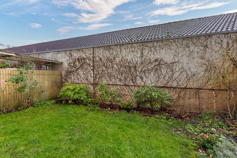 Grüner Garten mit Rasen, Pflanzen und einer Mauer mit Kletterpflanzen im Hintergrund.