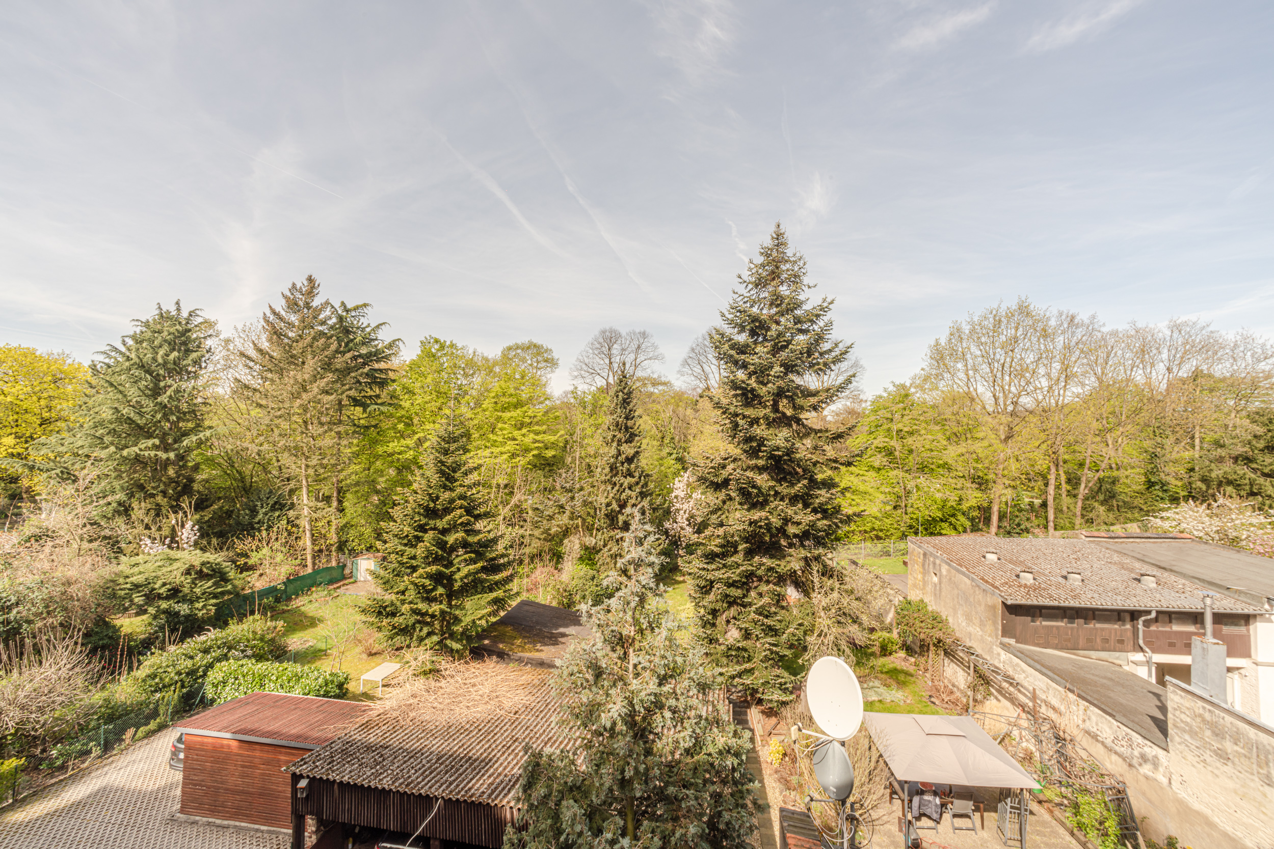 Blick auf einen Garten mit vielen Bäumen, Carport und Pavillon bei sonnigem Wetter.