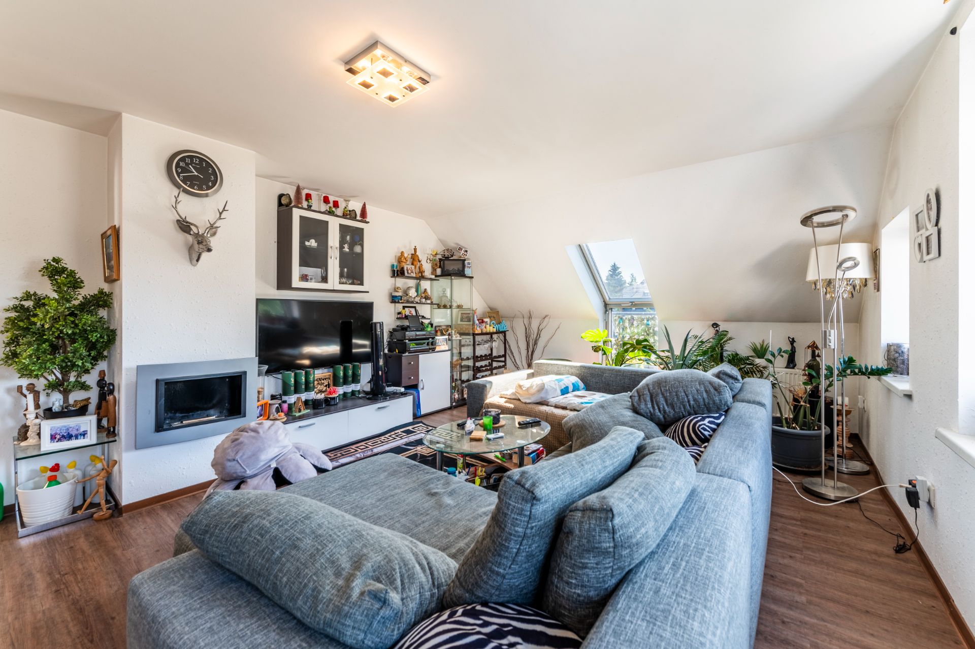 Helles Wohnzimmer mit zwei grauen Sofas, Fernseher, Kamin und vielen Pflanzen.