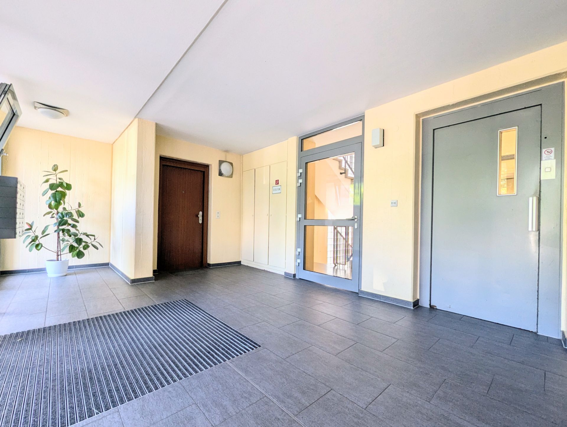 Heller Flur mit Aufzug, Haustür, Pflanze im Topf und großem Fußabtreter.