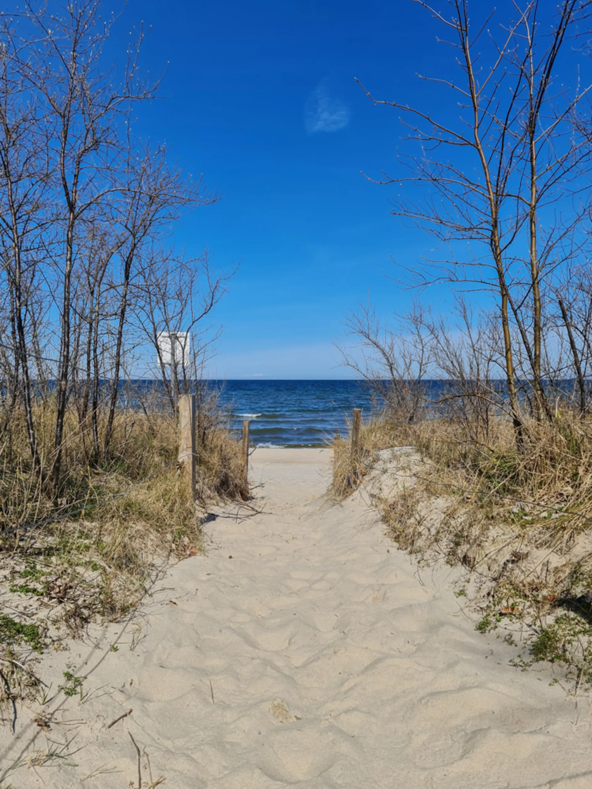 Sandweg mit Dünen und Blick auf das Meer, wenige kahle Bäume an den Seiten.