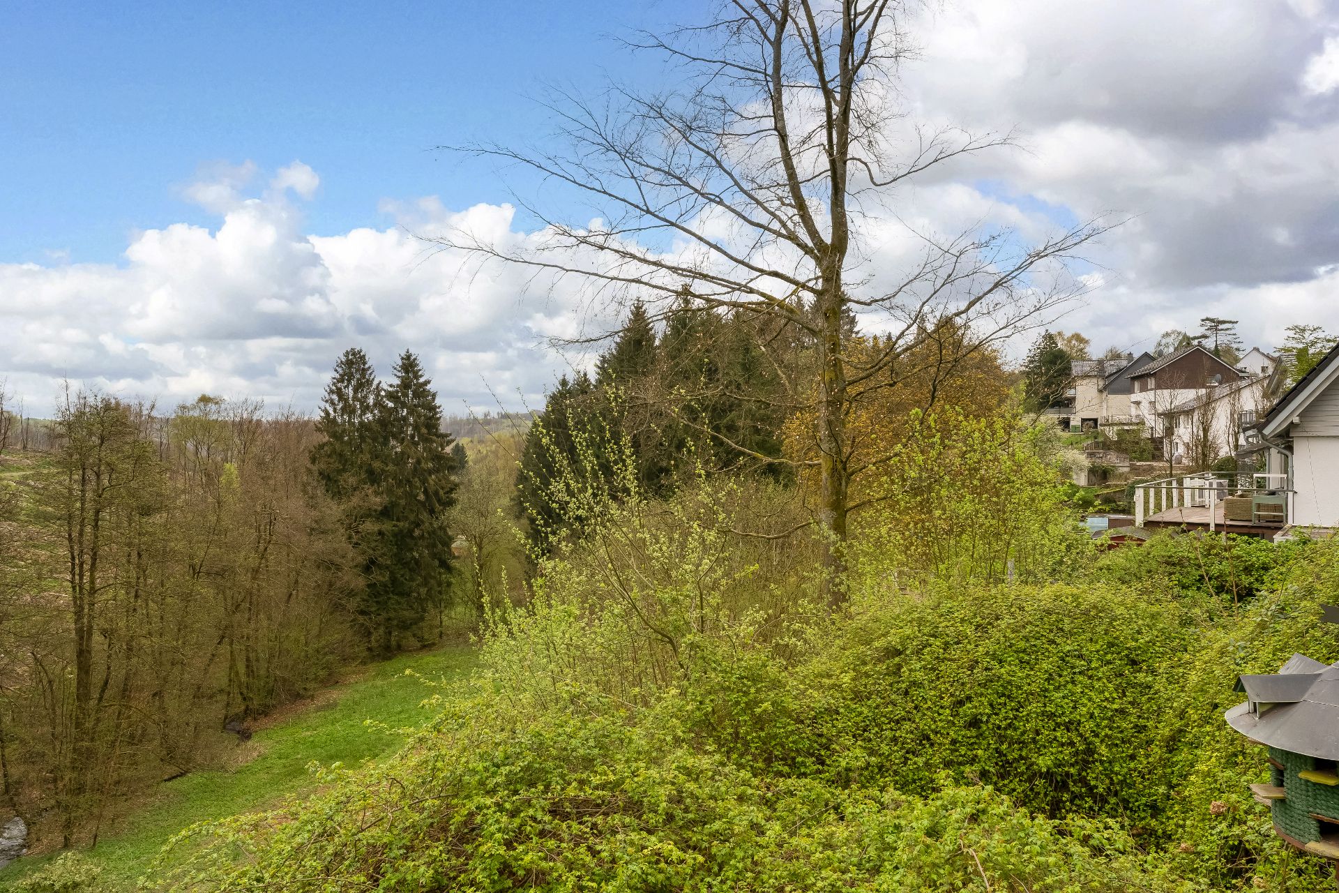 Blick auf grüne Bäume, Wiese und einige Wohnhäuser am Waldrand unter blauem Himmel.