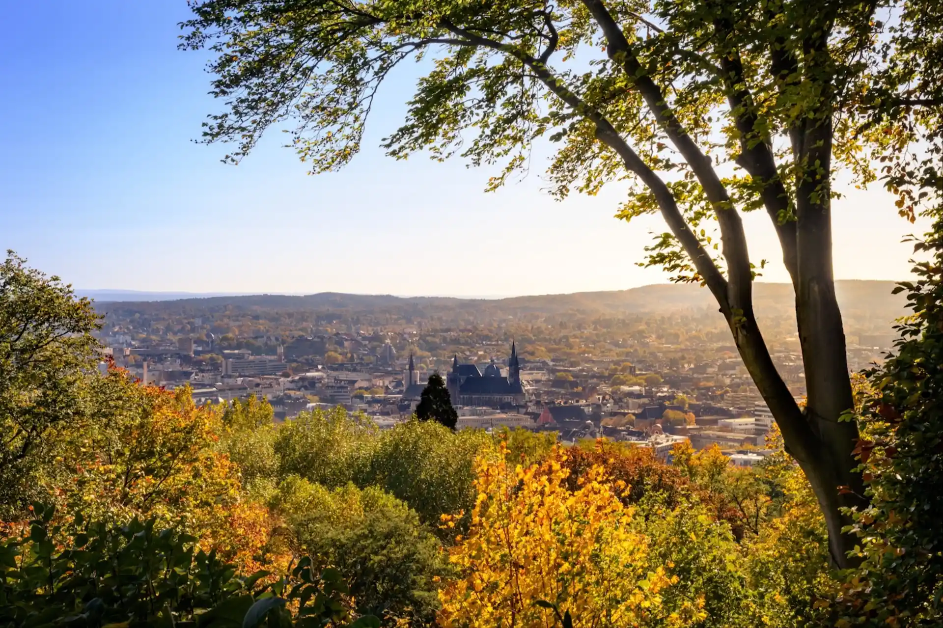 Blick von einer Anhöhe auf eine Stadt mit vielen Bäumen im Vordergrund.