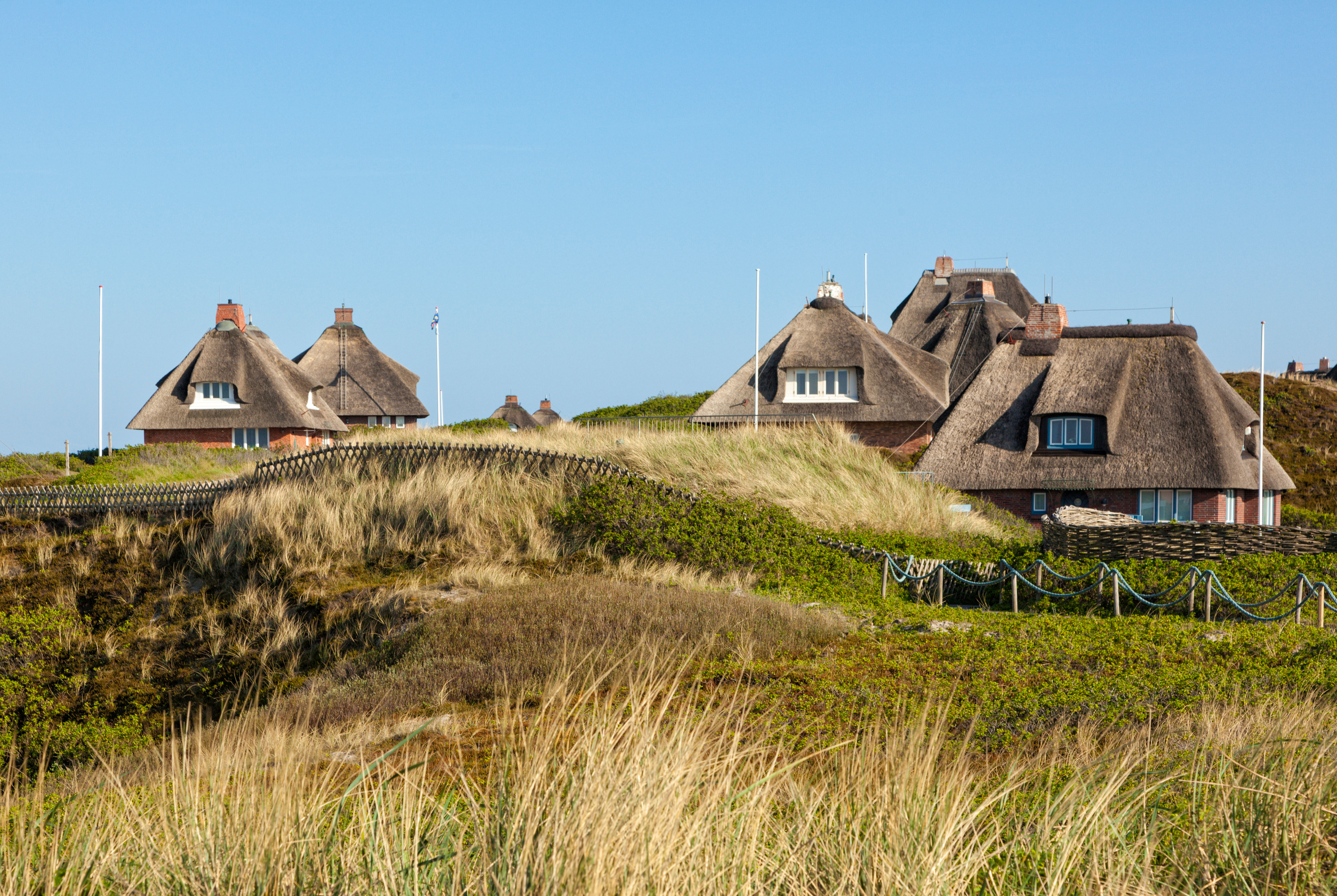Reetgedeckte Häuser hinter Dünen und Gras unter blauem Himmel.