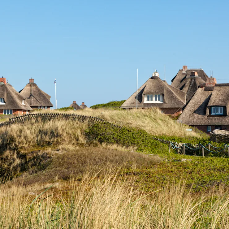 Reetgedeckte Häuser hinter Dünen und Gras unter blauem Himmel.