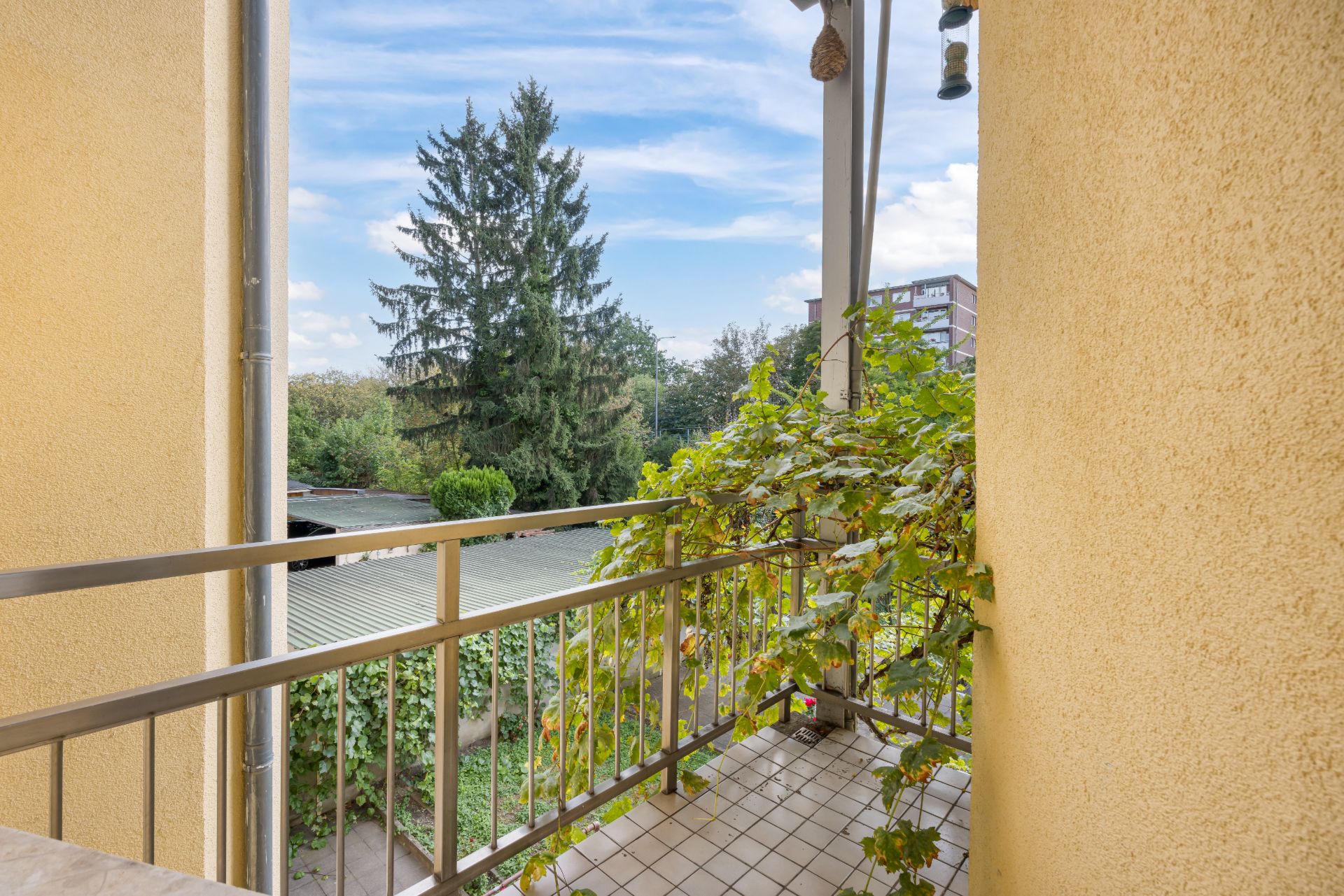 Kleiner Balkon mit Rankpflanzen und Ausblick auf Garten und Bäume.
