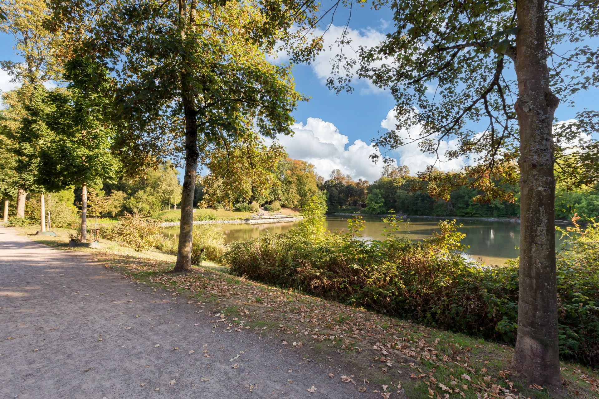 Baumbestandener Weg entlang eines Sees mit Blick ins Grüne.
