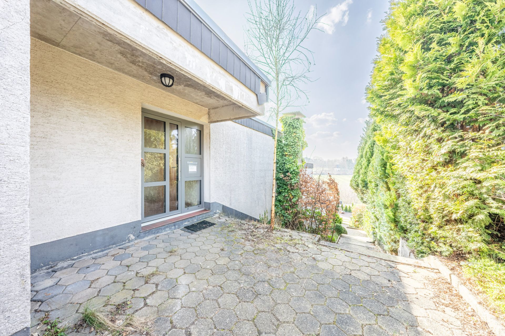 Eingangsbereich eines Hauses mit gepflastertem Weg, Tür und grünem Bewuchs an der Seite.