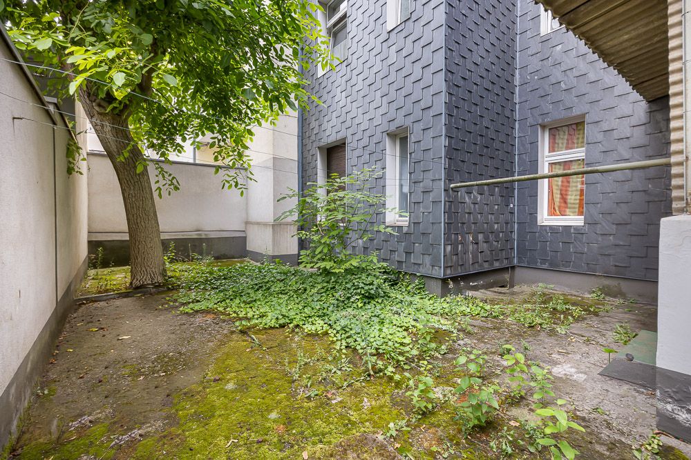 Kleiner, teilweise überwucherter Innenhof mit Baum neben einem Gebäude mit dunkler Fassade.
