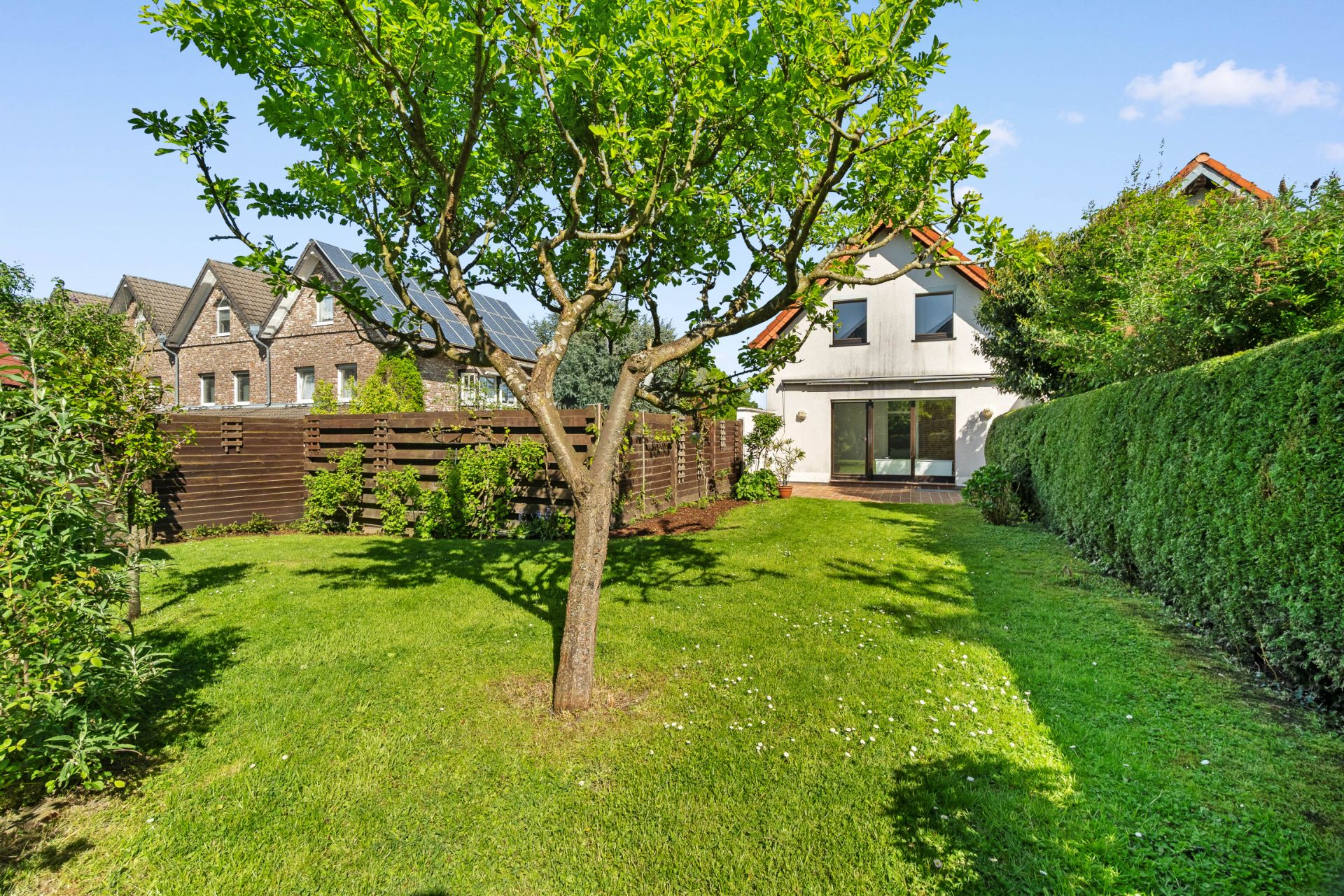 Garten mit grünem Rasen, einem Baum und einem weißen Wohnhaus im Hintergrund.