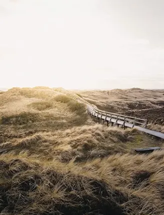 Modernes Wohngebäude mit großen Fenstern und Balkonen, vorn hohes Gras sichtbar.