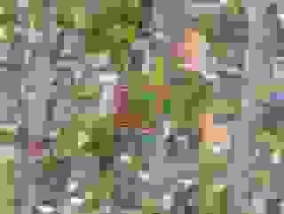 Verpixelte eingegrenzte Ansicht