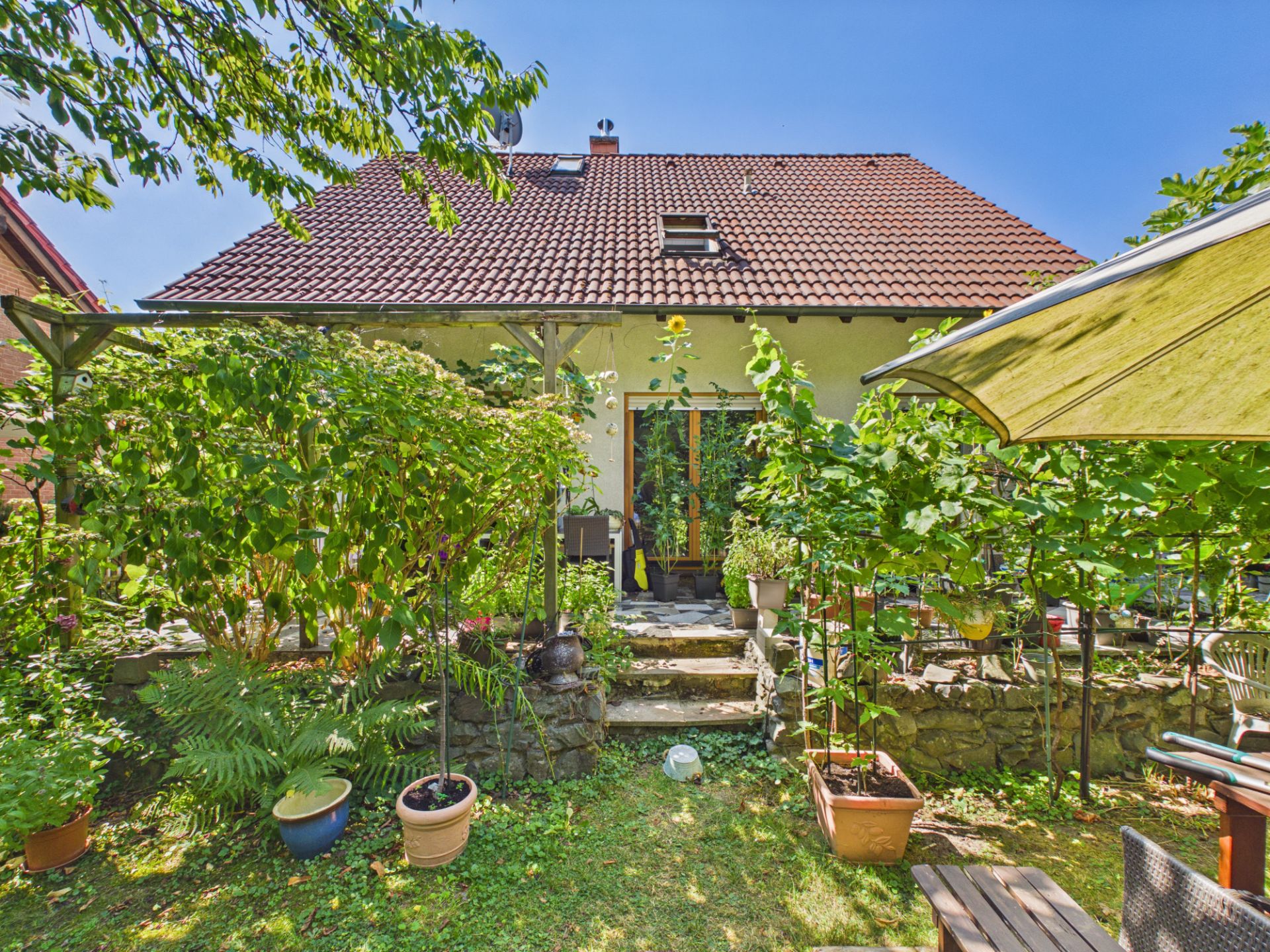 Rückseite eines Hauses mit Terrasse, vielen Pflanzen und Gartenmöbeln bei sonnigem Wetter.