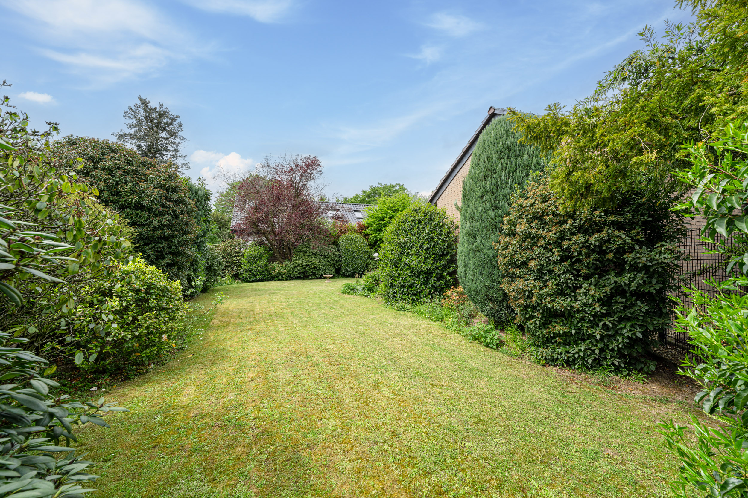 Gepflegter Garten mit Rasenfläche und dichten Büschen, umgeben von Bäumen und einer Hauswand.