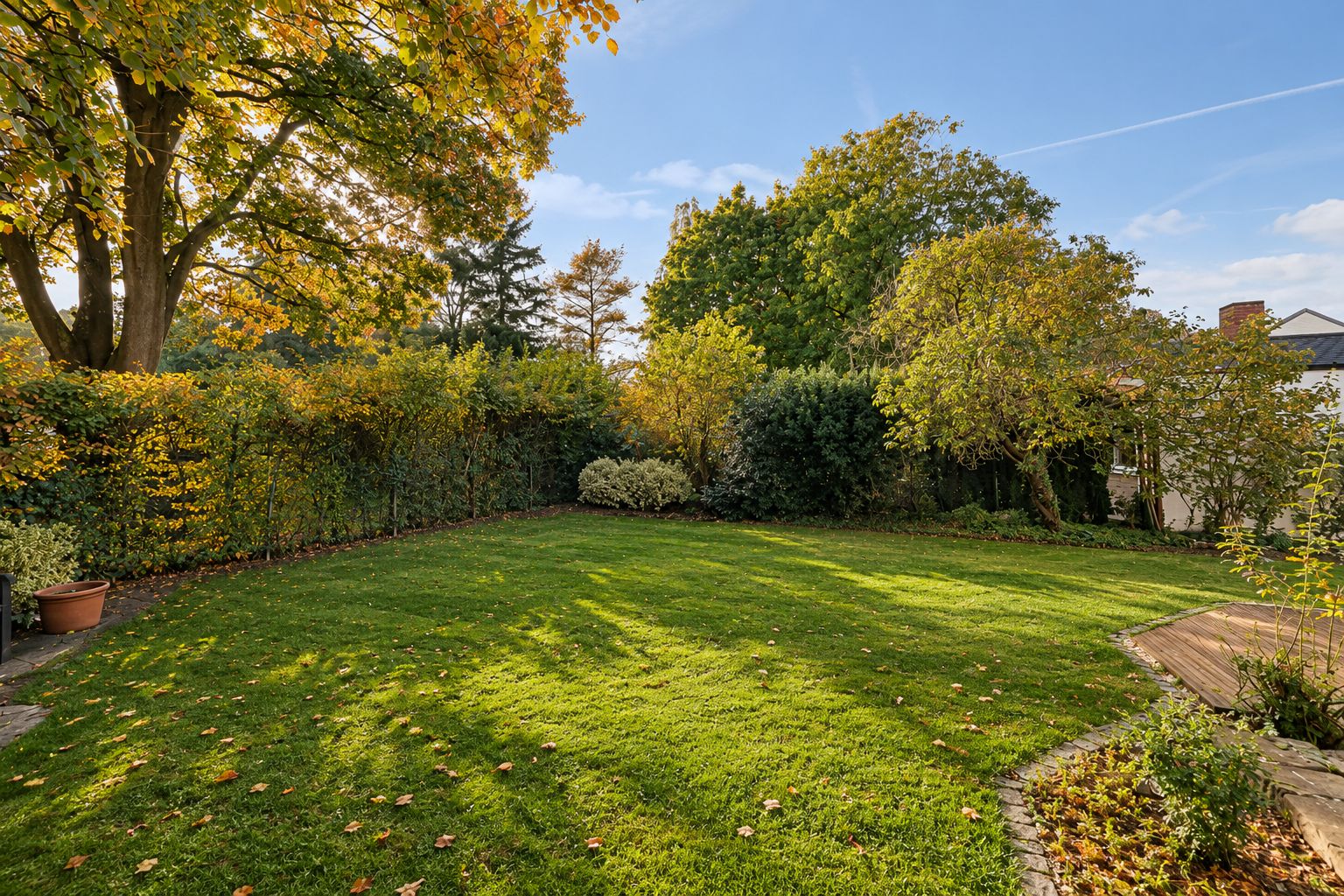 Grüner Garten mit Rasen, Bäumen und Sträuchern an einem sonnigen Tag.