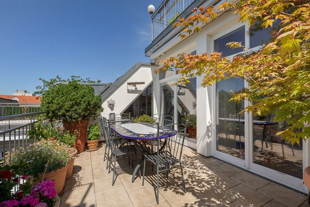 Sonnige Terrasse mit Esstisch, Stühlen und vielen Pflanzen in Töpfen vor großen Fenstern.