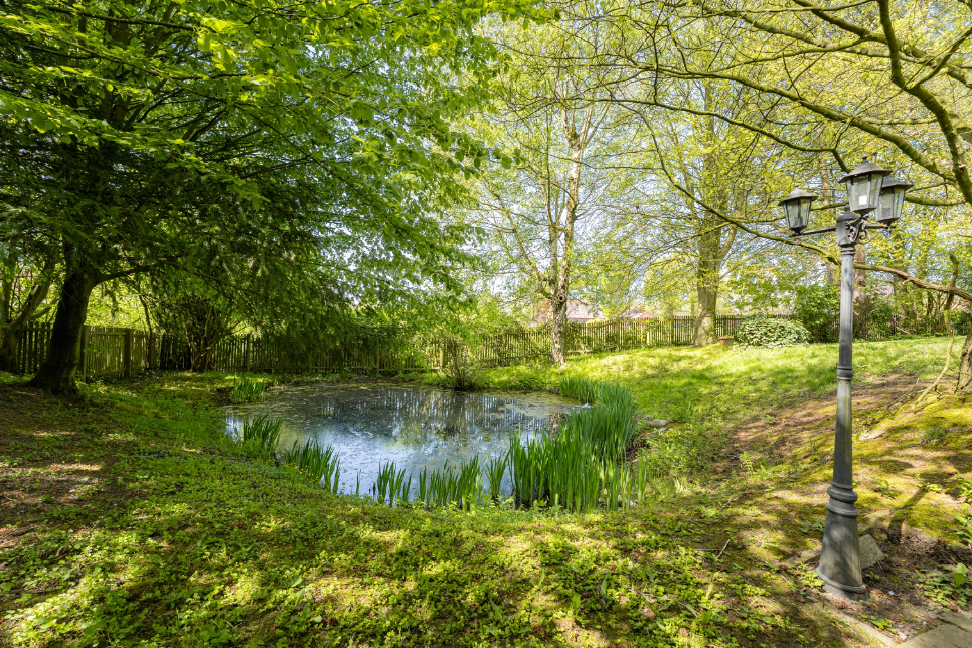 Garten mit kleinem Teich, grüner Wiese und Laterne, umgeben von Bäumen.