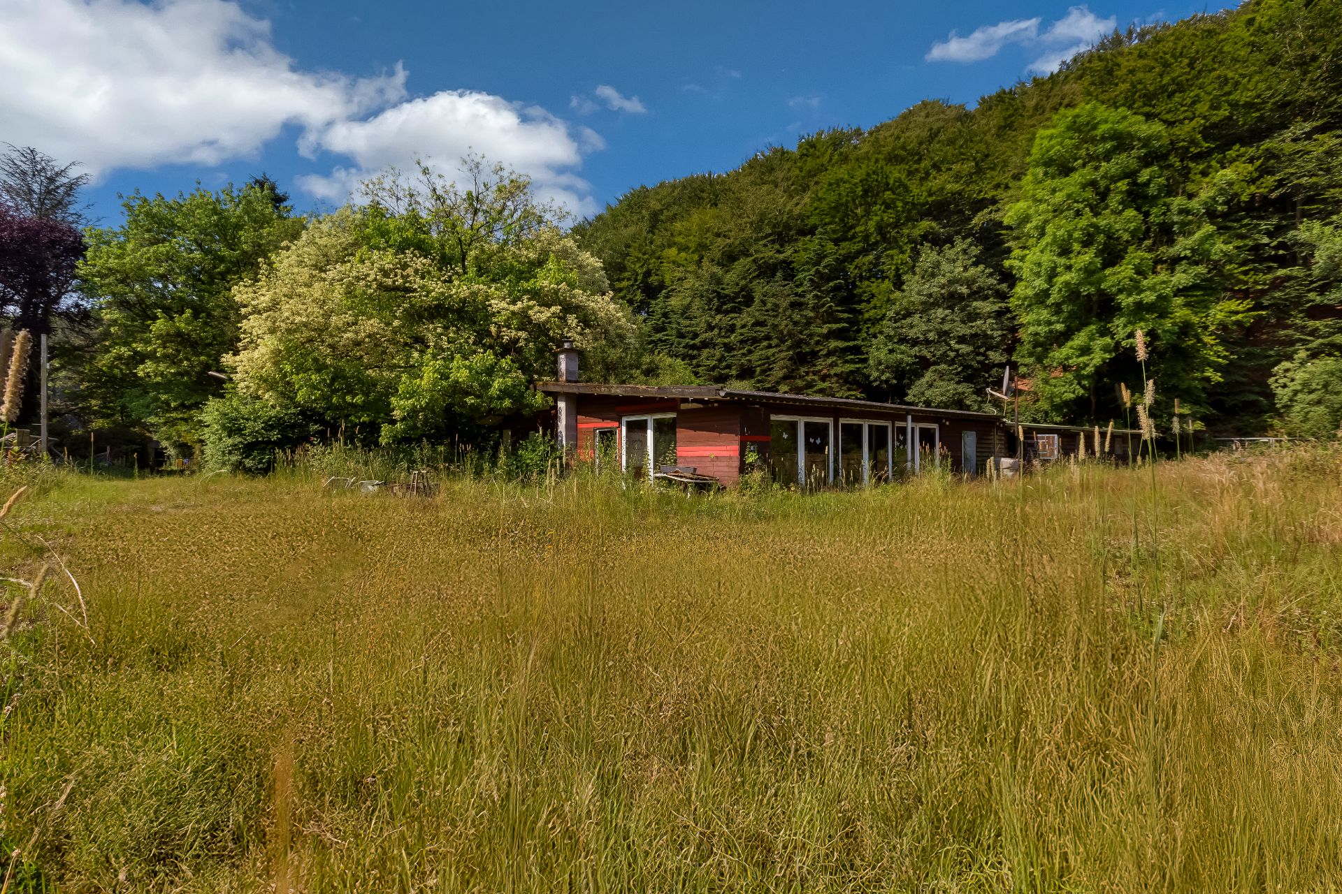 Kleines rotes Haus mit Flachdach steht auf einer Wiese, umgeben von Bäumen und Wald.