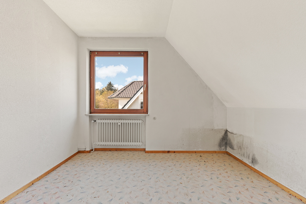 Leeres Zimmer mit Teppich, Fenster, Heizkörper und Schimmel an der rechten Wand.