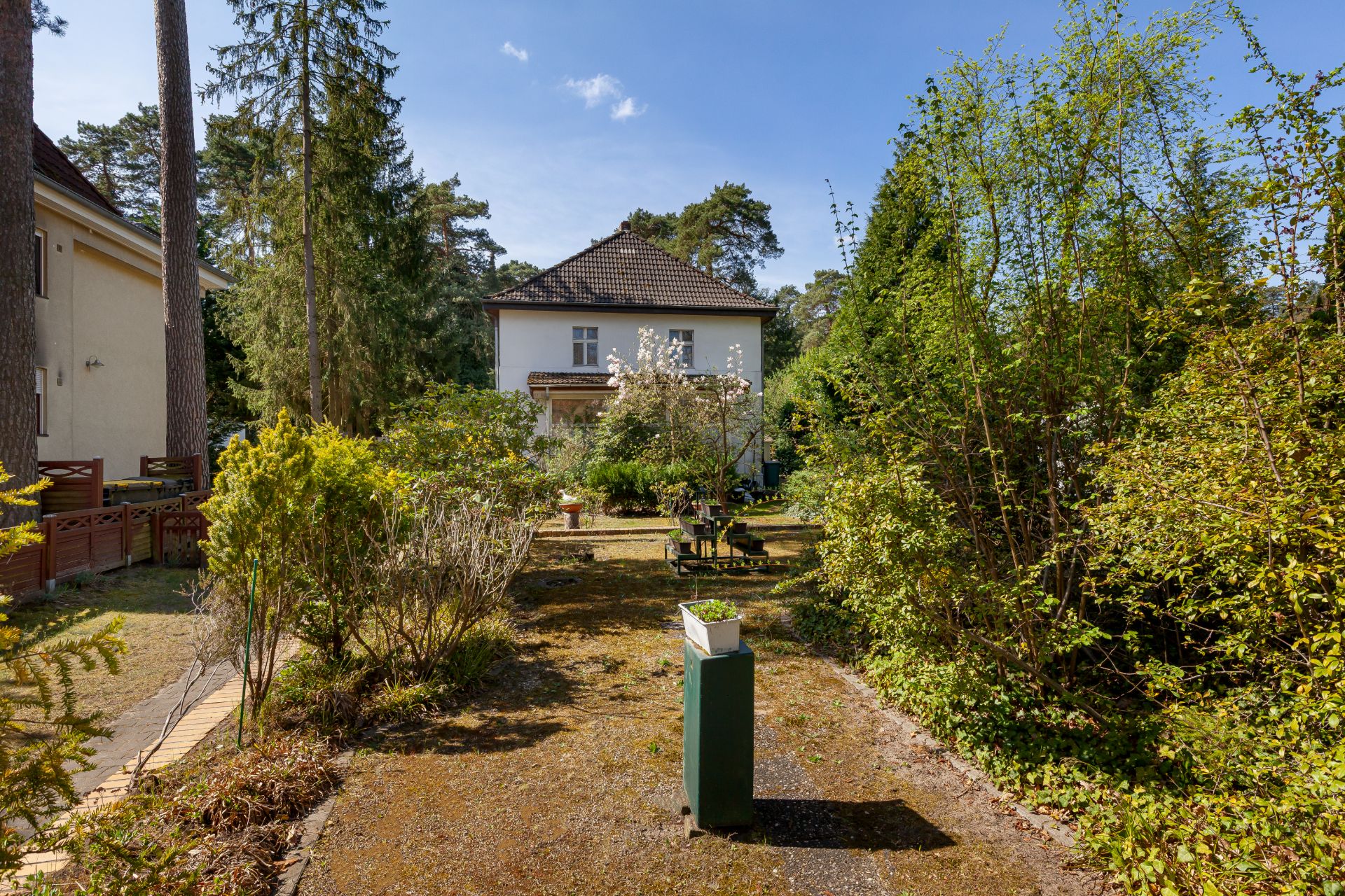 Blick auf einen Garten mit verschiedenen Büschen und Bäumen vor einem Wohnhaus.