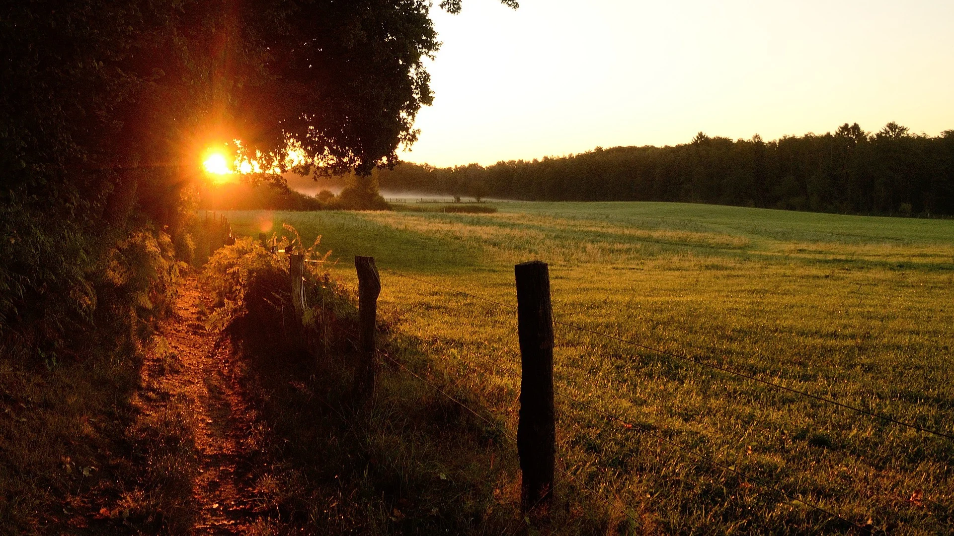 Sonnenuntergang über einem Feld mit Wiese, Zaun und Bäumen am Rand.