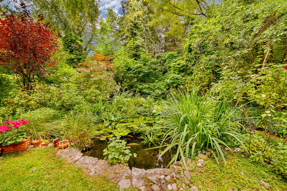 Garten mit Teich, vielen Pflanzen und bunten Blumen, umgeben von Bäumen und Sträuchern.