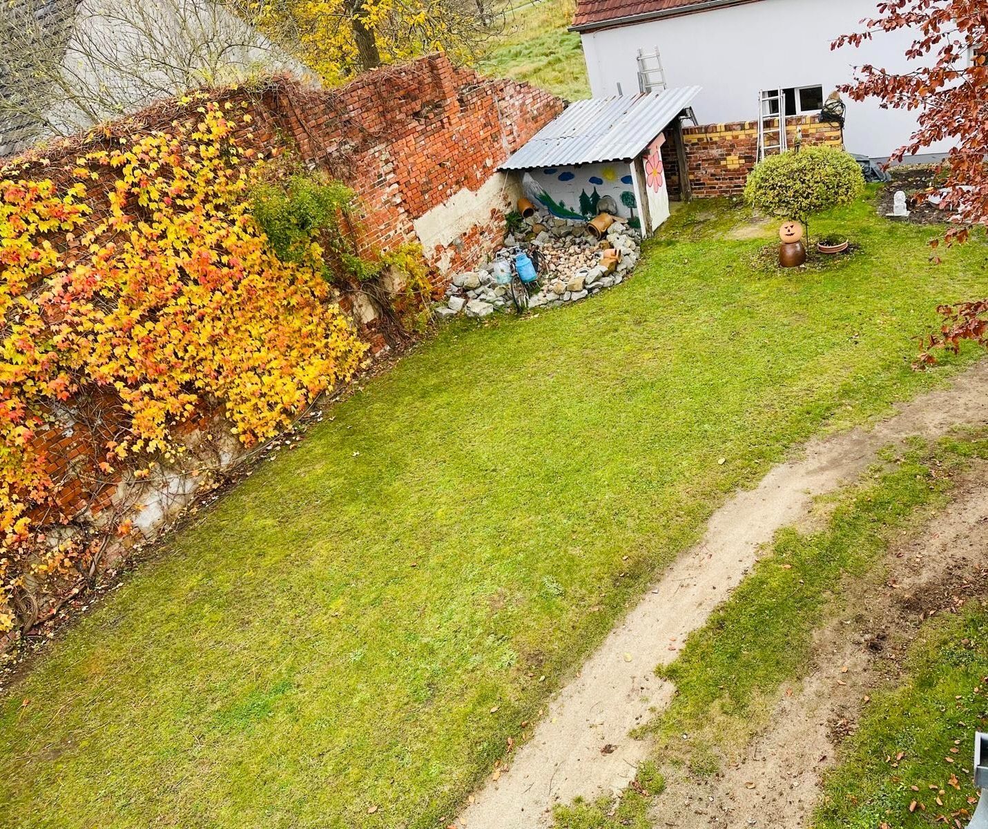 Garten mit Rasen, roter Backsteinmauer, Schuppen und herbstlich bunten Kletterpflanzen.