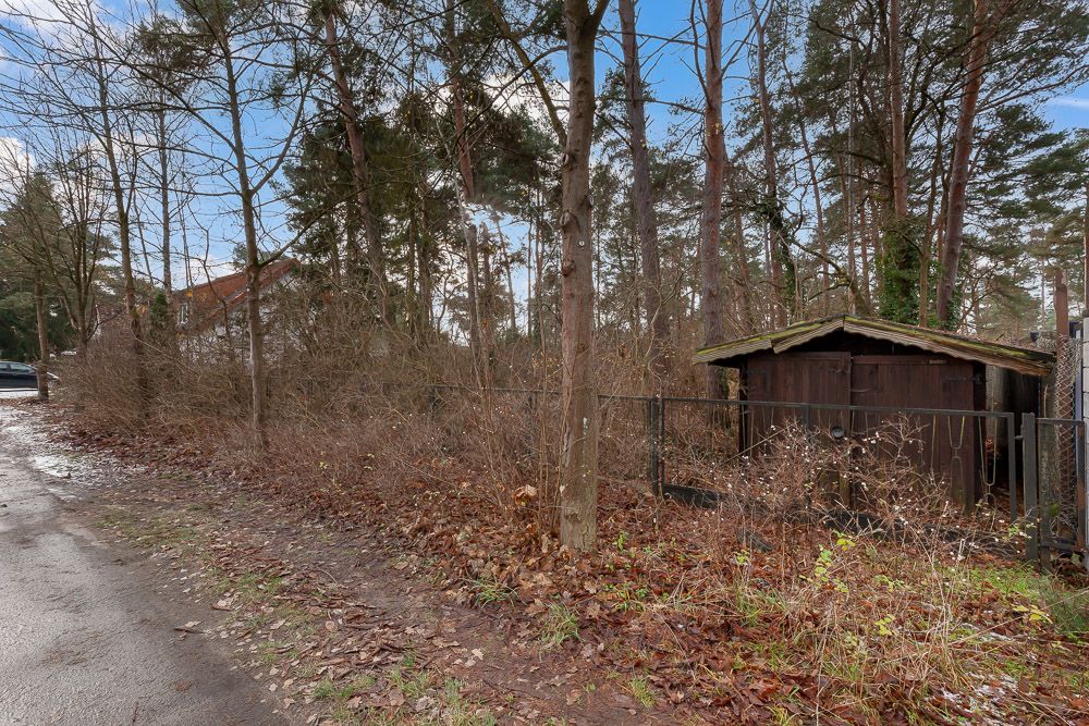 Ein alter Holzschuppen steht hinter einem Zaun am Waldrand, daneben verläuft ein asphaltierter Weg.